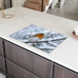 Roodborstje - Tak - Sneeuw - Winter - Levendig Inductie beschermer vinyl 3mm klein -sfeer8