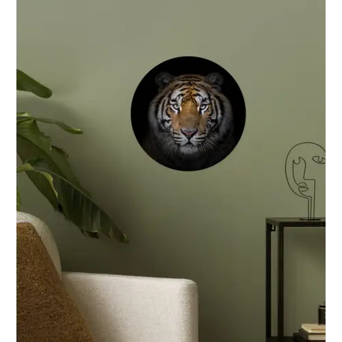 Tijger - Wilde dieren - Portret - Zwart - Dieren Wandcirkel behangsticker klein -sfeer2