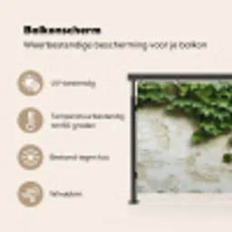 Klimop - Muur - Groen Balkonbeschermer Duitsland klein -specs_NL