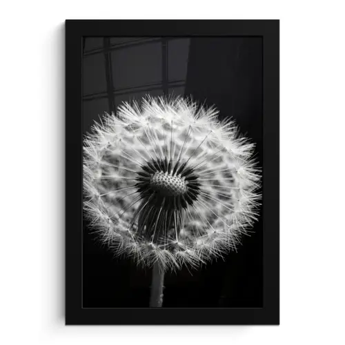 Paardenbloem - Zwart - Wit fotolijst zwart zonder passe partout klein -3d