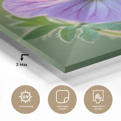 Bloem - Close up - Paars plexiglas 5mm klein -sfeer2