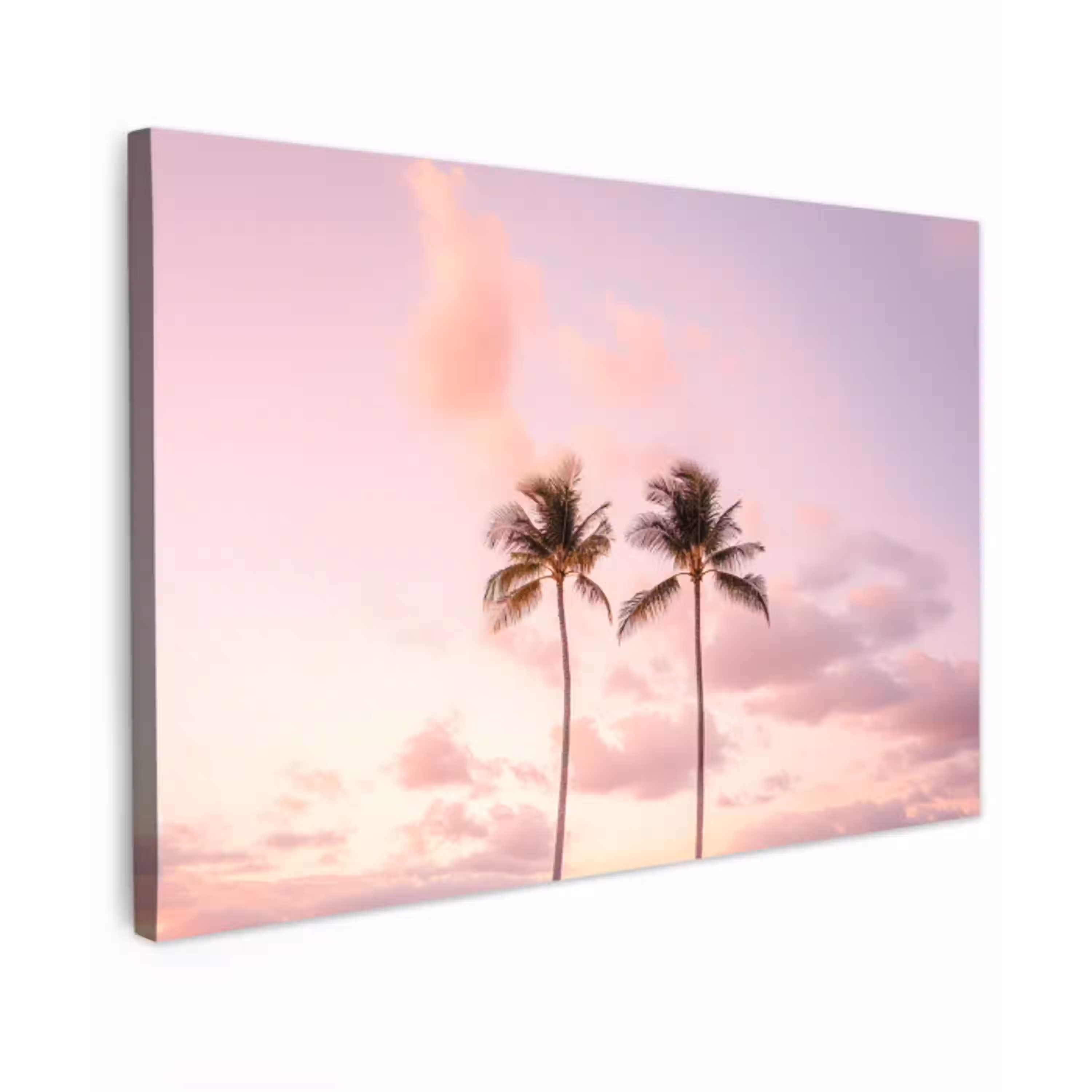 Palmbomen - Paars - Wolken - Lucht canvas 2cm klein -z3d