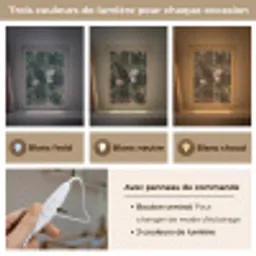 Zeearend - Vliegen - Bos - Natuur Light Box met kabel (Kinderlampje) klein -USP_lichtkleurFR