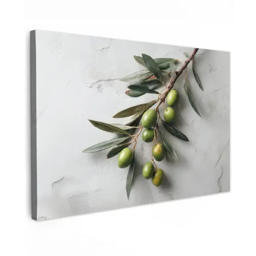 Olijventak - Beton - Mediterraan canvas 2cm klein -z3d