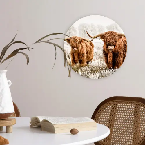 Schotse hooglander - Koe - Natuur - Winter Wandcirkel kunststof plaat 5mm dik klein -sfeer4