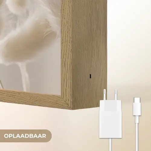 Pampasgras - Pluim - Wit Light Box met batterij (Wandlamp) middel -USP_websiteoplaadbaarNL