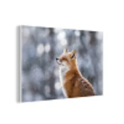 Vos - Sneeuwval - Portret - Winter - Sfeervol forex 5mm xxl -3d