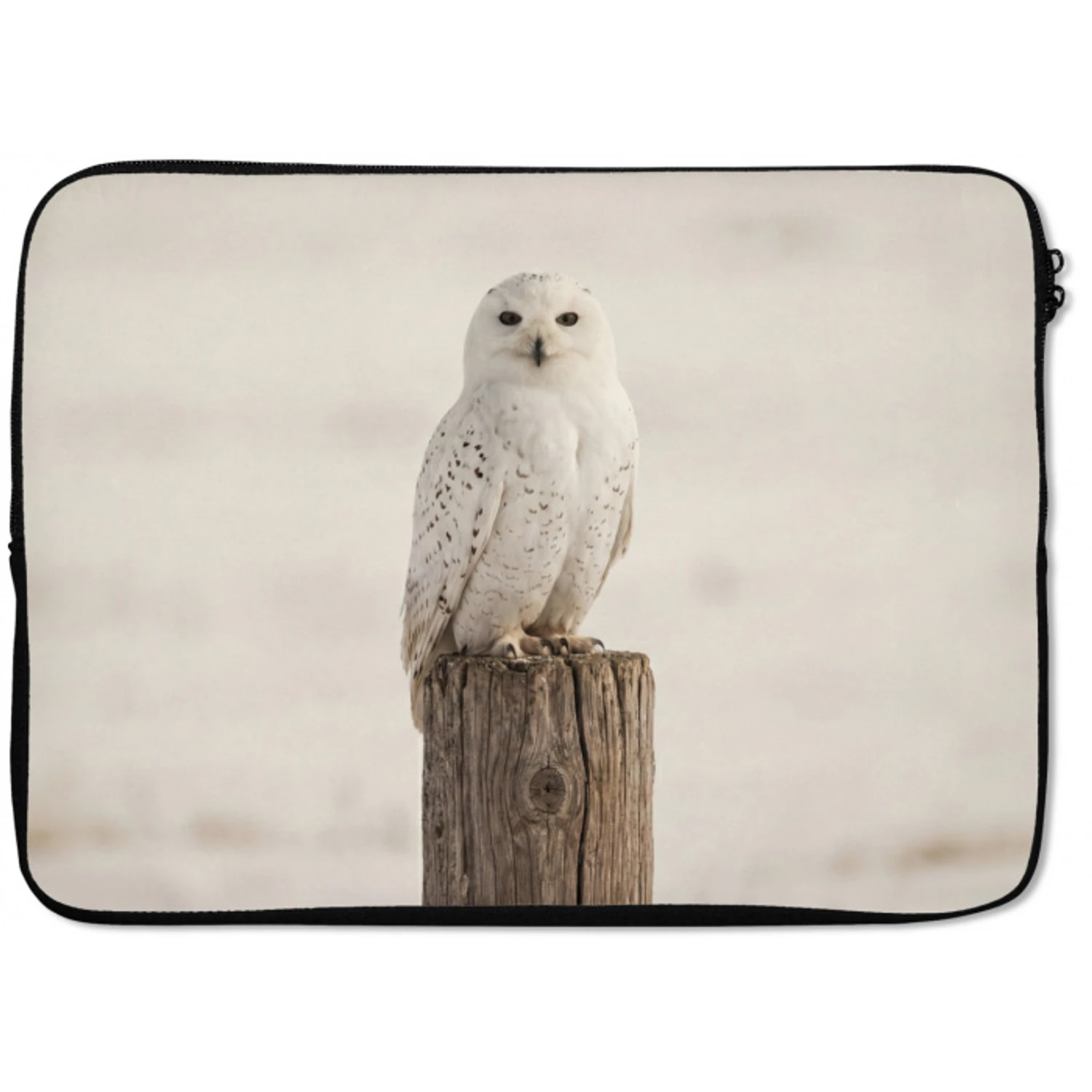 Sneeuwuil - Paal - Winter - Portret - Majestueus laptophoes neopreen klein -zkaufland3dotto