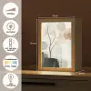 Wabi sabi - Beige - Plant Light Box met kabel (Tafellamp) klein -USP_NL