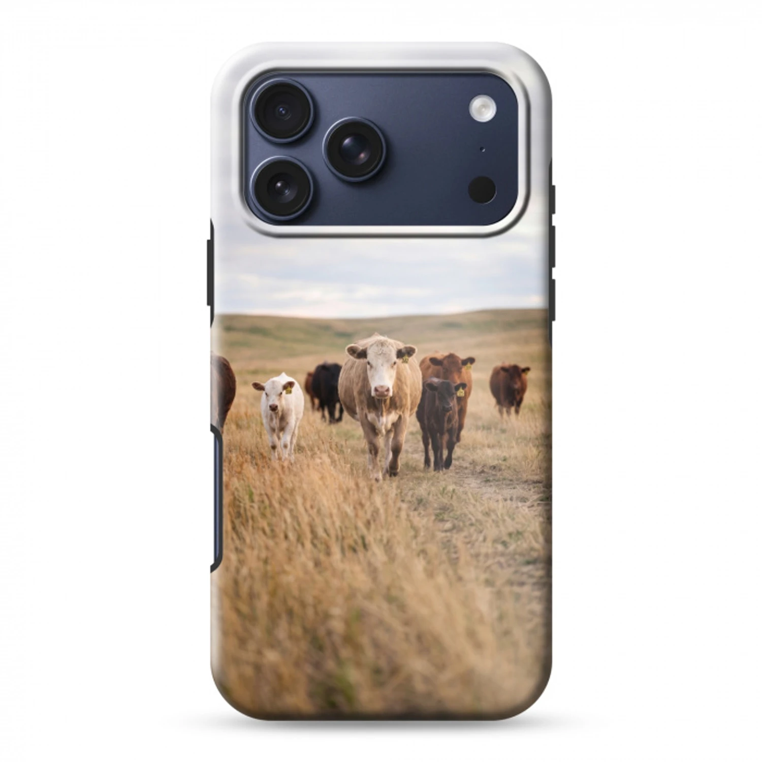 Runderen - Kudde - Landschap - Weide - Rustig Toughcase MagSafe Apple iPhone 17 Pro Max klein -3d