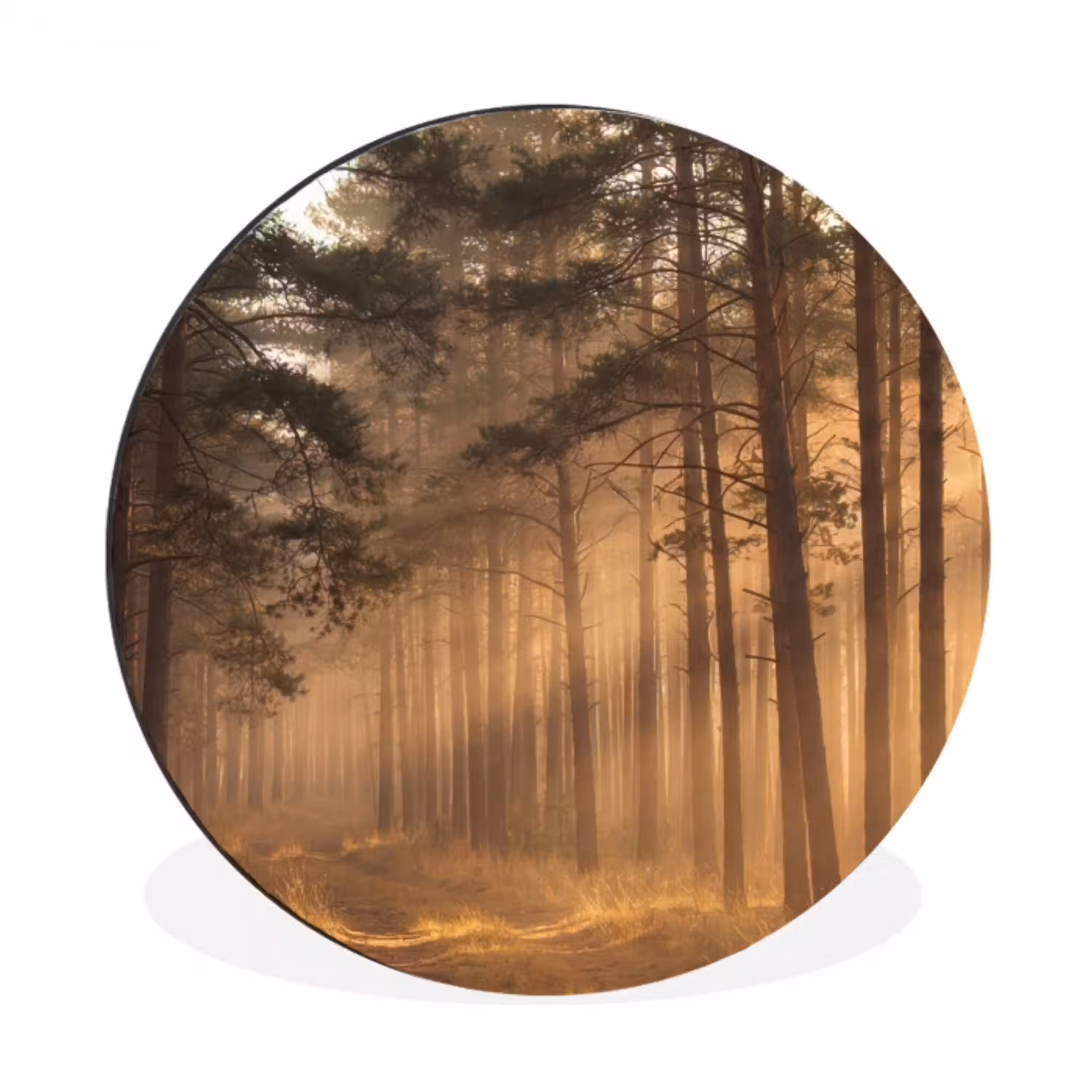 Bos - Mist - Zonlicht Wandcirkel aluminium klein -3d