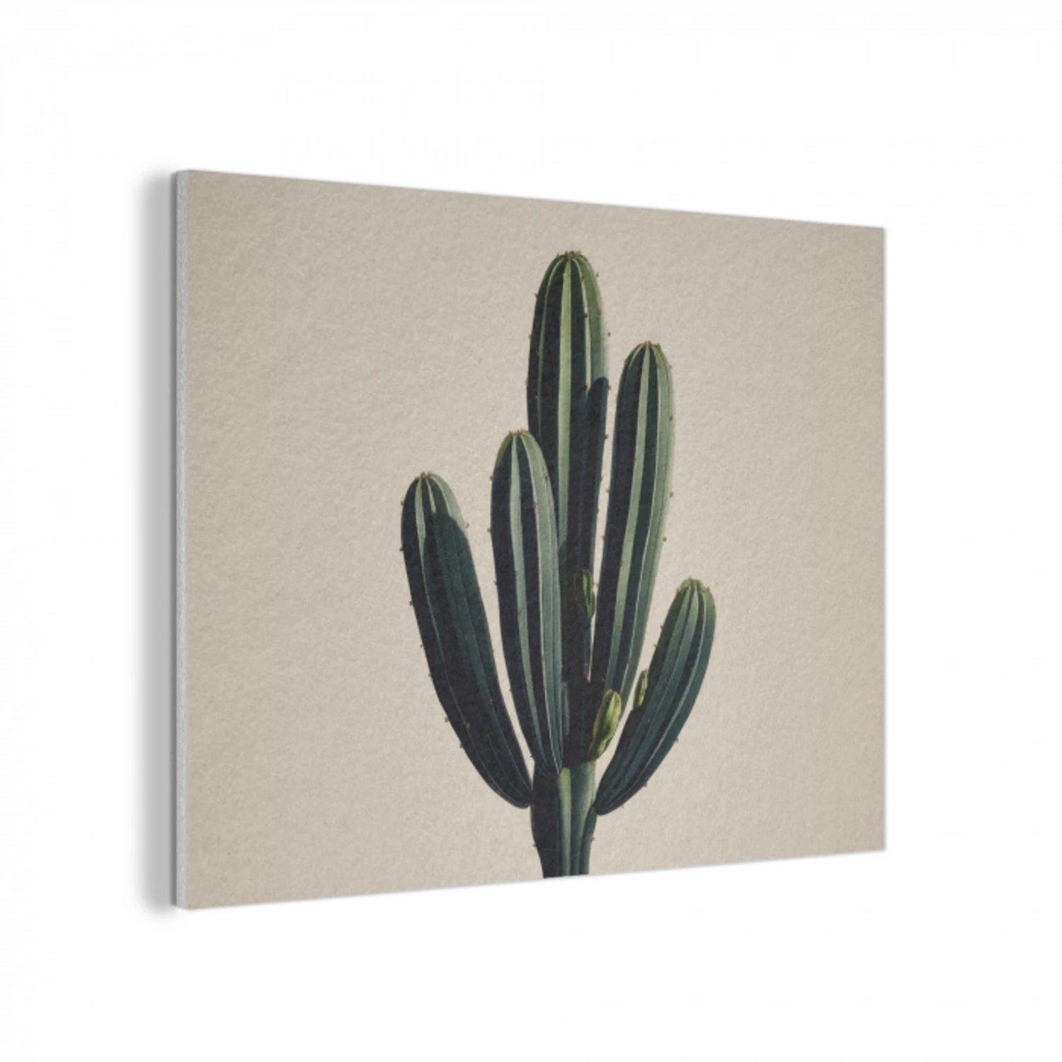 Cactus - Subtiel - Groen PET vilt klein -3d