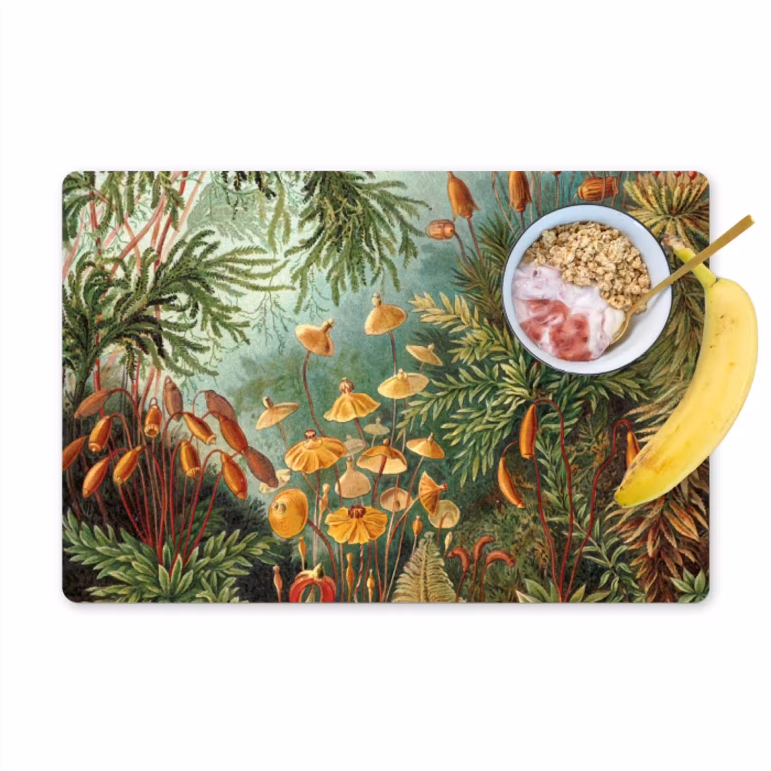 De Muscinae Placemat vinyl groot -zzzproduct_Kitchenyeah-website