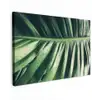Palmblad - Tropisch - Natuur - Jungle Tuinposter op houten frame 2 cm dik klein -3d