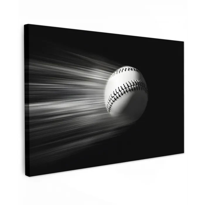Honkbal - Wit - Vliegt Tuinposter op houten frame 2 cm dik klein -3d