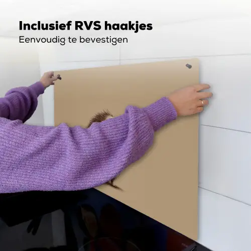 Egel - Snuitje - Bruin - Stekels Inductie beschemer met haakjes middel -ky-ophangen-nl