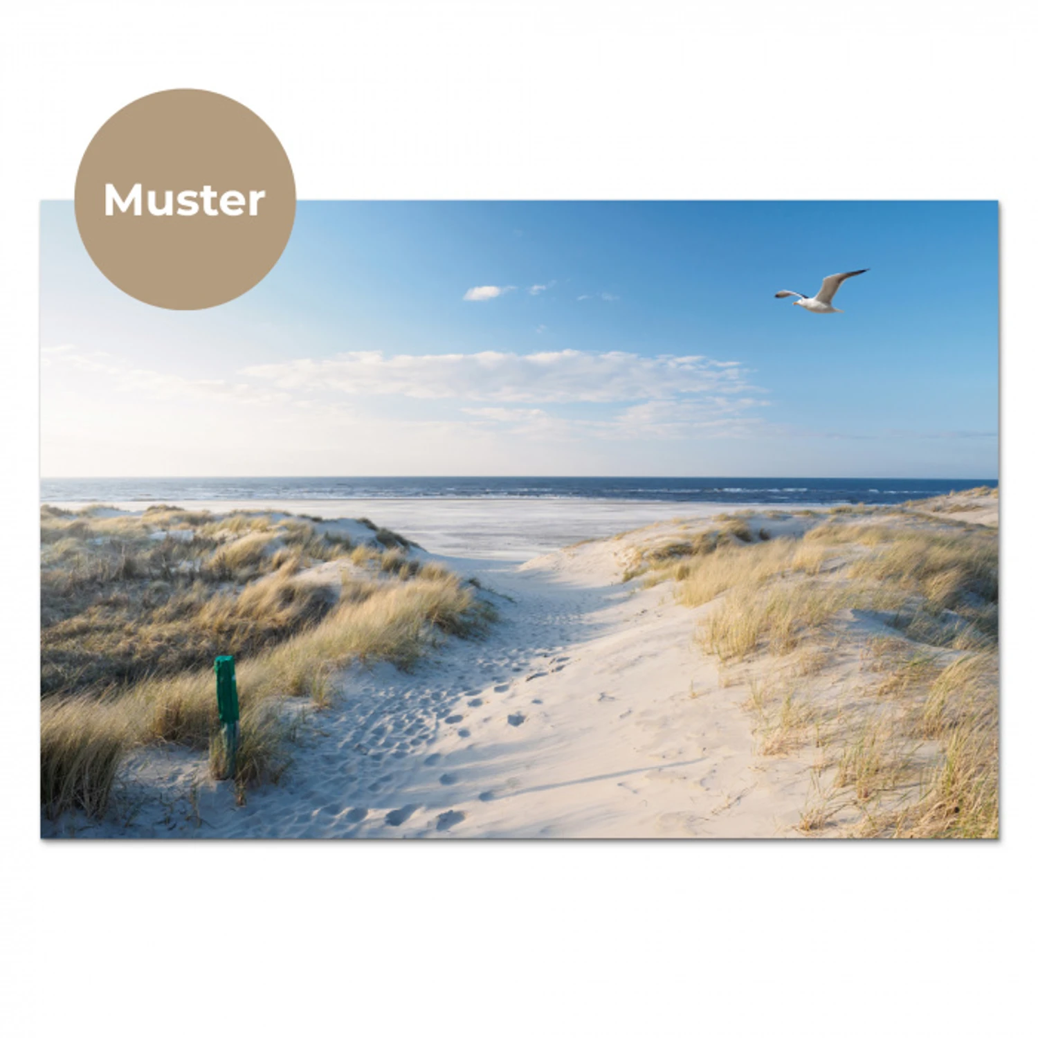 Duin - Meeuw - Strand - Zee - Zon keuken achterwand sample klein -3d_DE