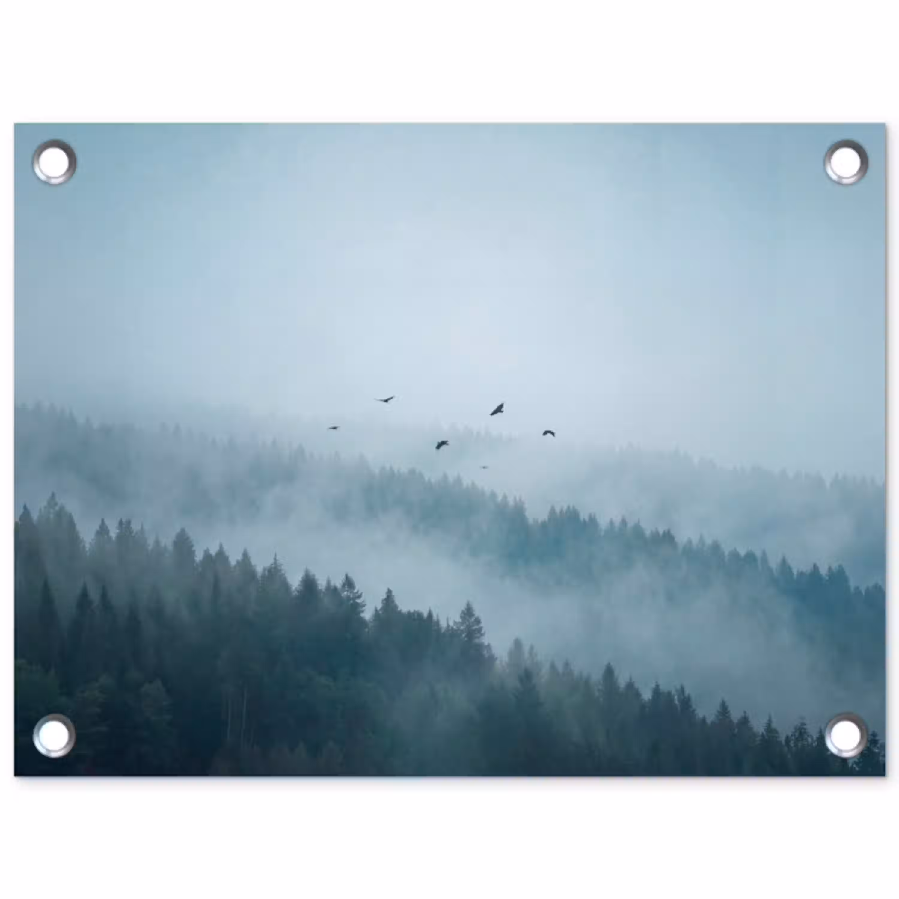 Bos - Mist - Vogels - Natuur - Groen tuinposter los doek klein -3d
