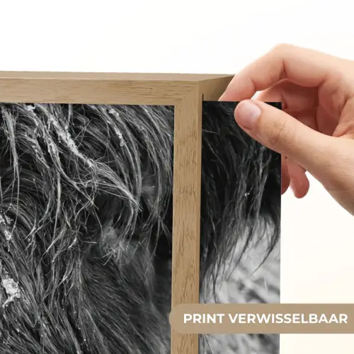 Schotse hooglander - Zwart - Wit - Sneeuwvlokken Light Box met batterij (Wandlamp) middel -USP_websiteprintNL