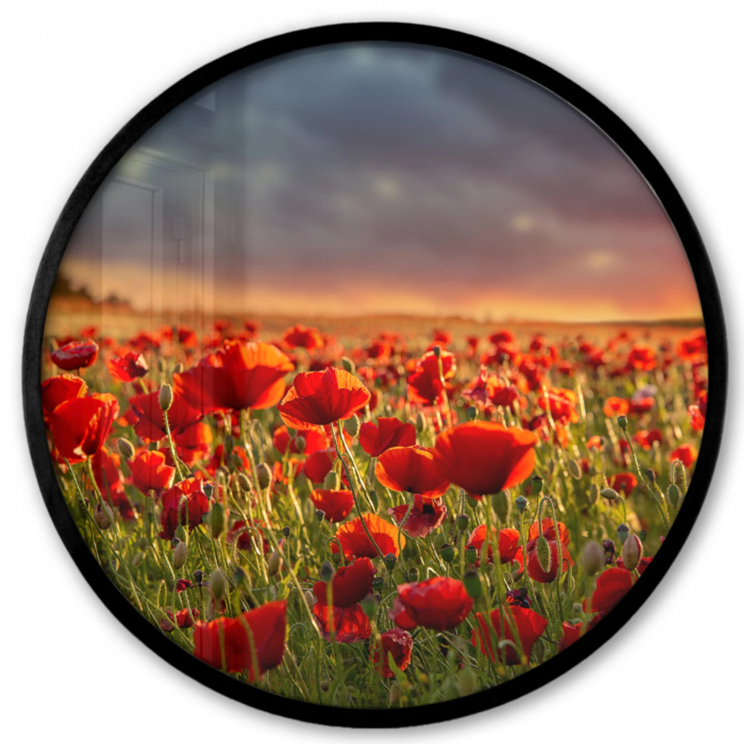 Zonsondergang - Klaprozen - Rood - Bloemen - Veld - Natuur Fotolijst rond zonder passe partout klein -3d