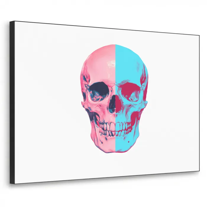 Schedel - Grafisch - Roze - Verdeeld Textielframe zwart klein -3d