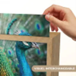 Pauw - Veren - Blauw Light Box met kabel (Kinderlampje) klein -USP_websiteprintFR