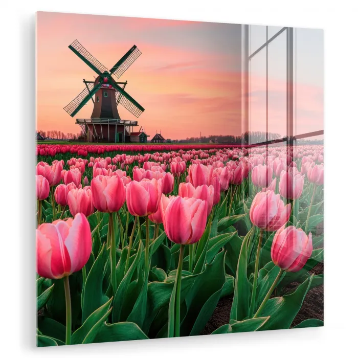 Tulpen - Molen - Nederland plexiglas 5mm klein -zzzproduct_nieuw