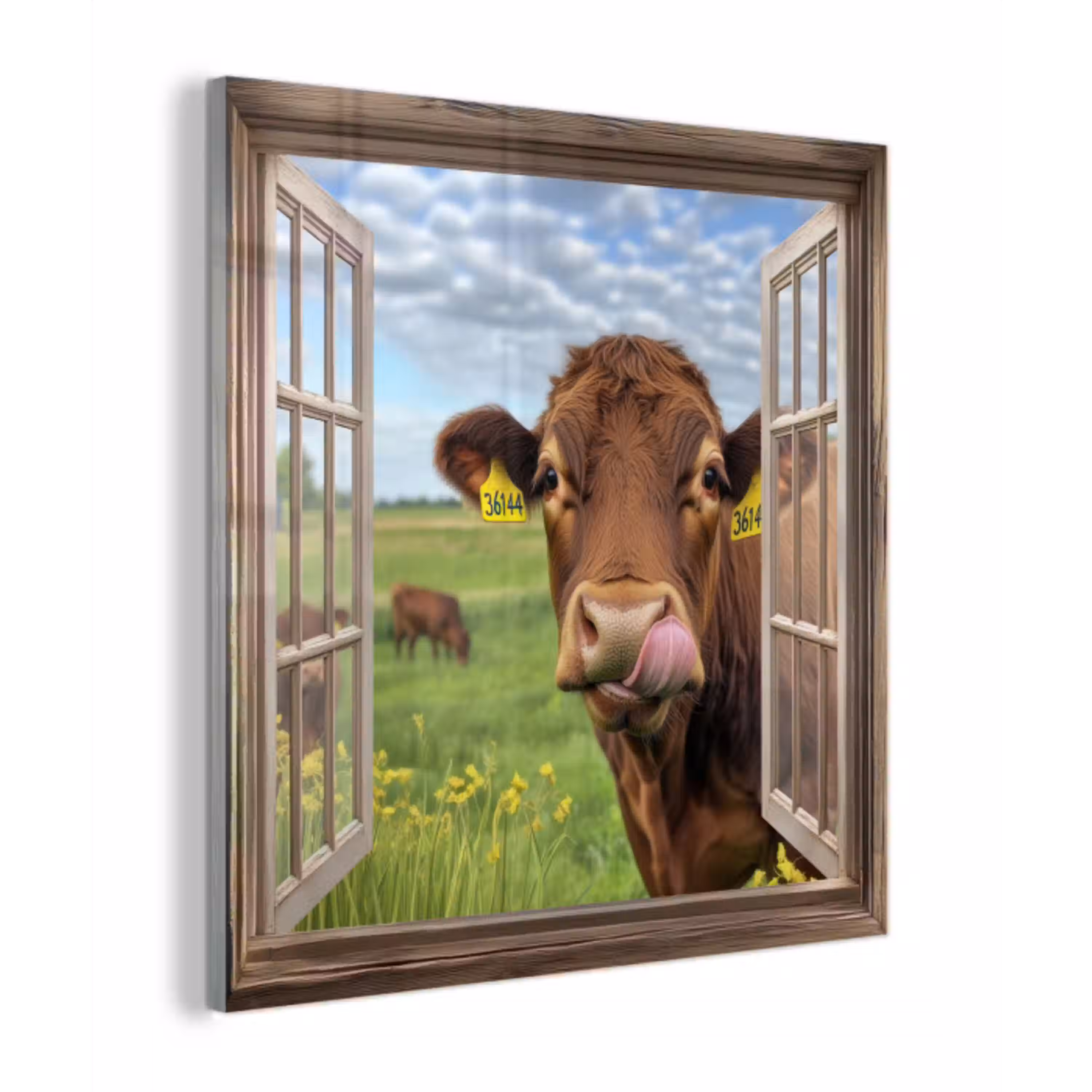 Doorkijk - Koe - Weiland - Landschap - Dieren plexiglas 5mm klein -z3d
