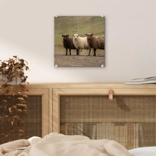 Schapen - Bruin - Wit - Grindpad plexiglas 5mm klein -sfeer4