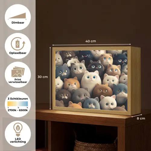 Katten - Dieren - Poes - Design - Meiden - Jongens Light Box met batterij (Wandlamp kind) middel -USP_websiteoverzichtNL