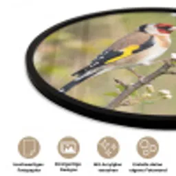 Putter - Bloesem - Lente - Natuur - Kleurrijk Fotolijst rond zonder passe partout klein -closeup_DE
