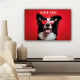 Hond - Hartjesbril - Loveyou - Rood canvas 2cm klein -sfeer6