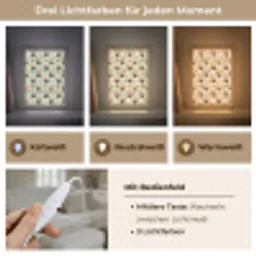 Toekans - Exotisch - Kleurrijk Light Box met kabel (Tafellamp) klein 925 -USP_lichtkleurDE