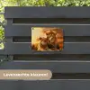 Leeuwenpaar bij zonsondergang tuinposter los doek klein -sfeer3