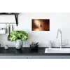 Framboos - Smoothie - Drinken - Roze Muursticker klein -keuken