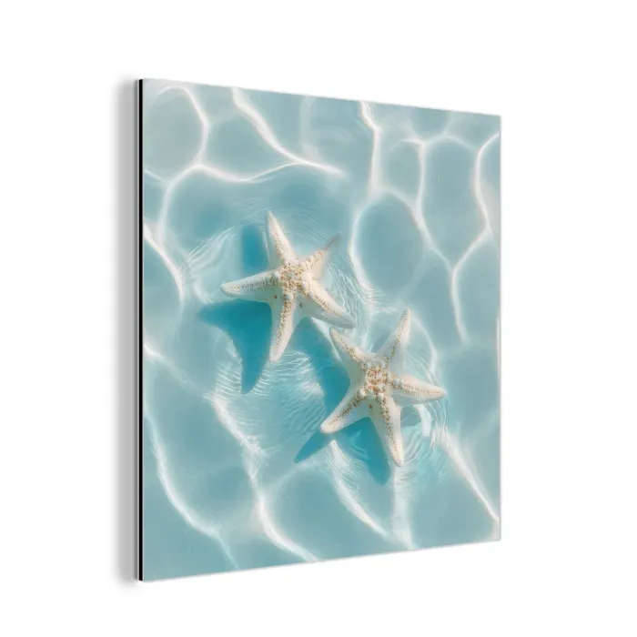 Zeesterren - Golvend water - Rustgevend aluminium wit klein -3d