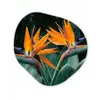 Paradijsvogel - Bloem - Exotisch Wandcirkel Organisch Aluminium middel -3d