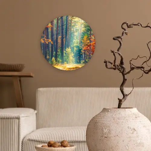 Bos - Zon - Natuur - Herfst Wandcirkel kunststof plaat 5mm dik klein -sfeer1