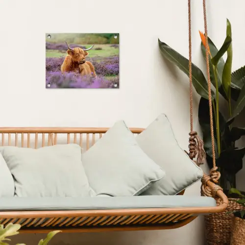 Hooglander in de Heide tuinposter los doek klein -sfeer7
