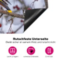 Pestvogel - Bessen - Winter - Natuur Inductie beschermer vinyl 3mm klein -zzzzzzz-lf-onderkant