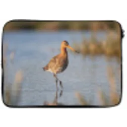 Vogel - Steltloper - Water - Natuur laptophoes neopreen klein -zkaufland3dotto