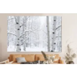 Berkenbomen - Sneeuw - Winter - Bos - Wit forex 5mm xxl -bovenbank