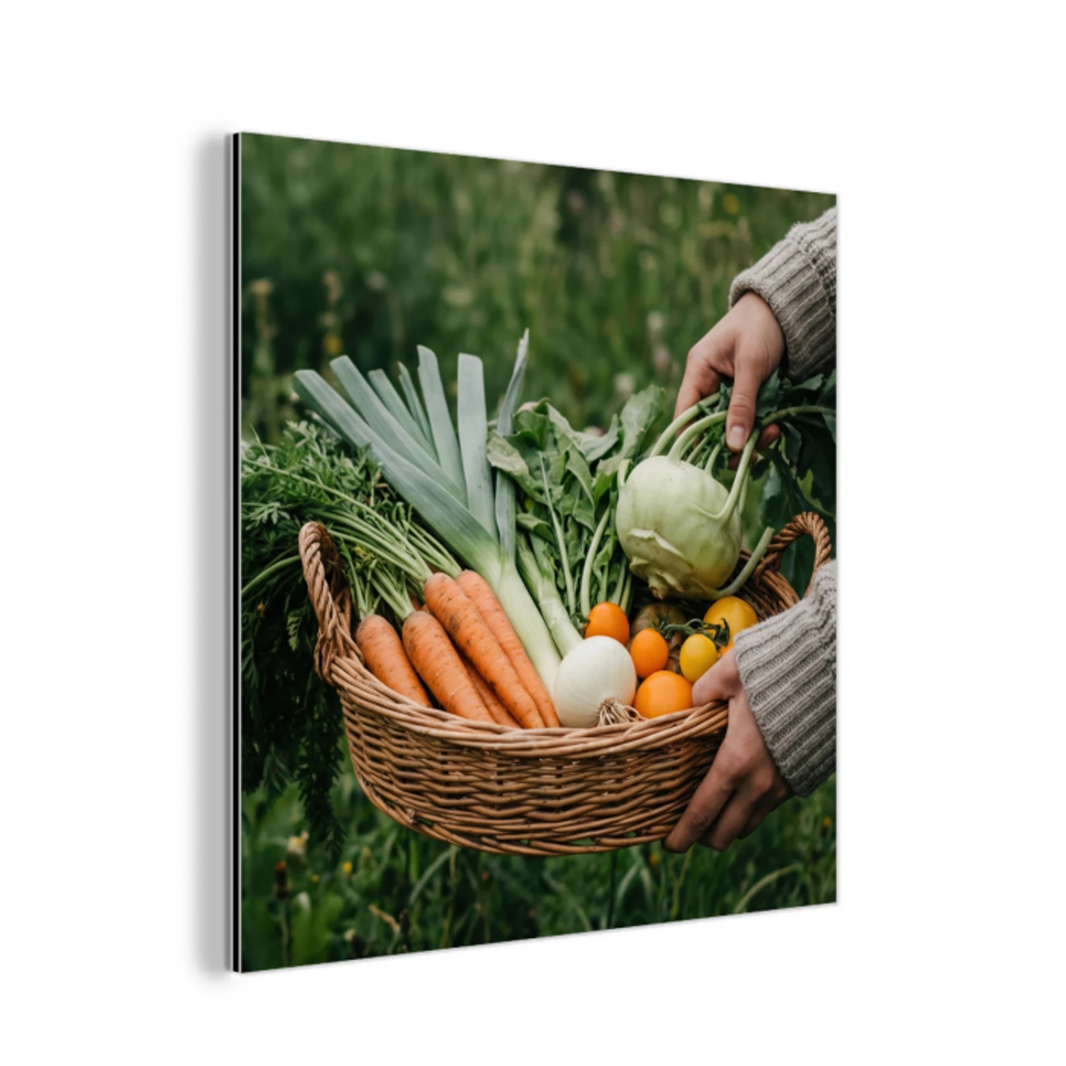 Veld - Groenten - Biologisch - Oogst aluminium wit klein -3d