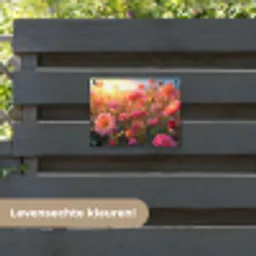Rozenveld in gouden avondlicht tuinposter los doek klein -sfeer3