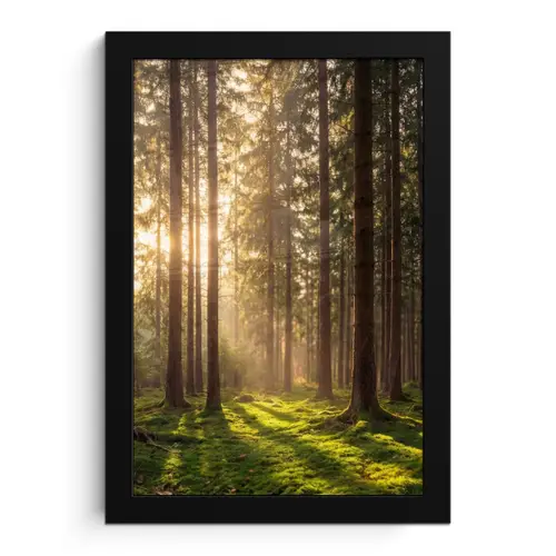 Bos - Gras - Zonlicht fotolijst zwart zonder passe partout klein -3d