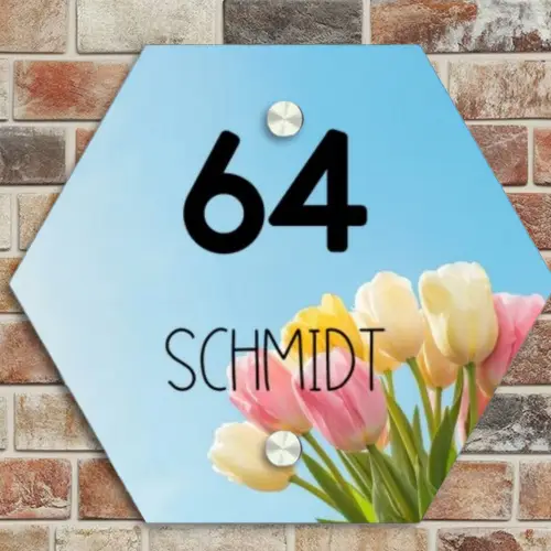 Gekleurde tulpen lucht - Modern Naambord Hexagon klein -sfeer2