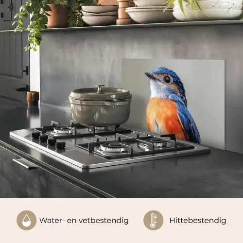 Kleurrijk - Vogeltje - Veren - Blauw keuken achterwand spatscherm klein -usp_NL