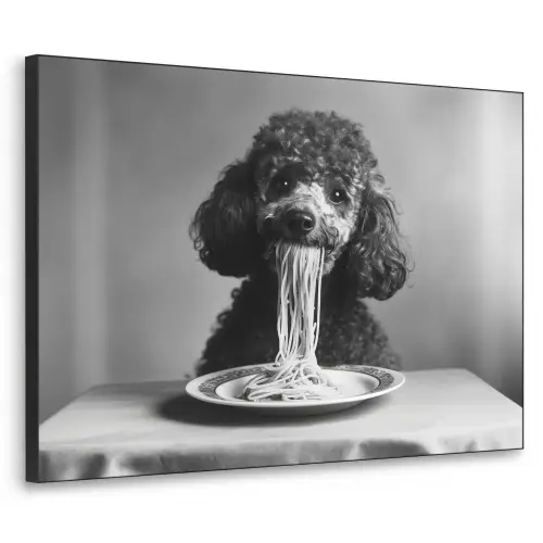 Poedel - Hond - Zwart - Wit - Schattig - Pasta Textielframe - compleet frame klein -3d