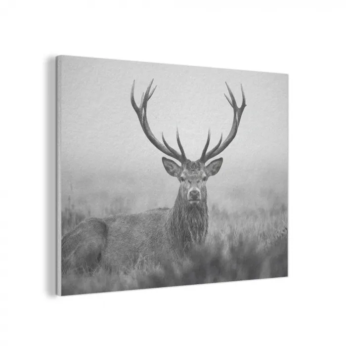 Hert - Mistig - Zwart - Wit PET vilt klein -3d