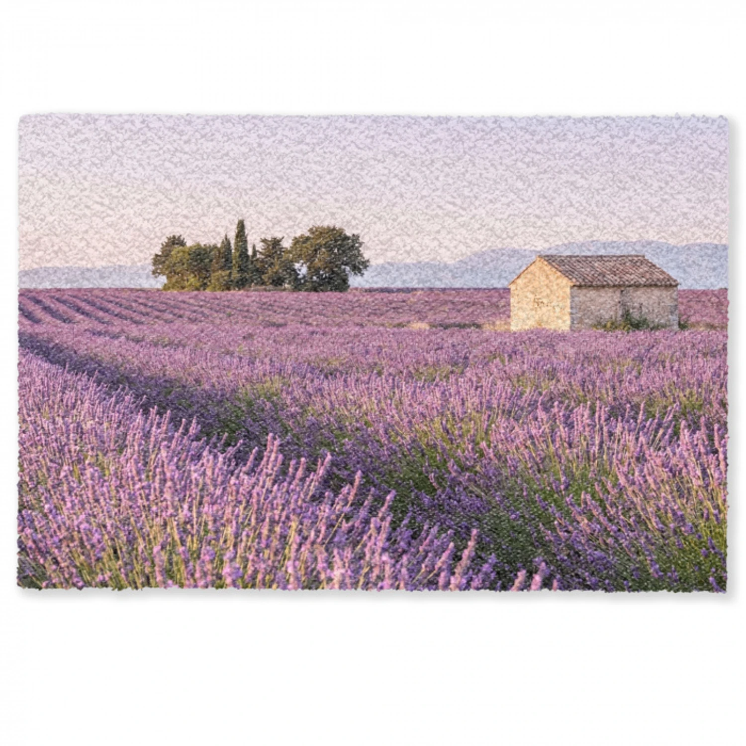 Lavendel - Landschap - Sereen - Paars Deurmat klein -zkaufland3d